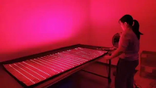 Red Light Therapy Mat Manufacturer 012
